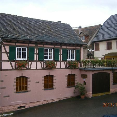 Vila Gite Au Nid De Cigognes Dieffenthal Exteriér fotografie