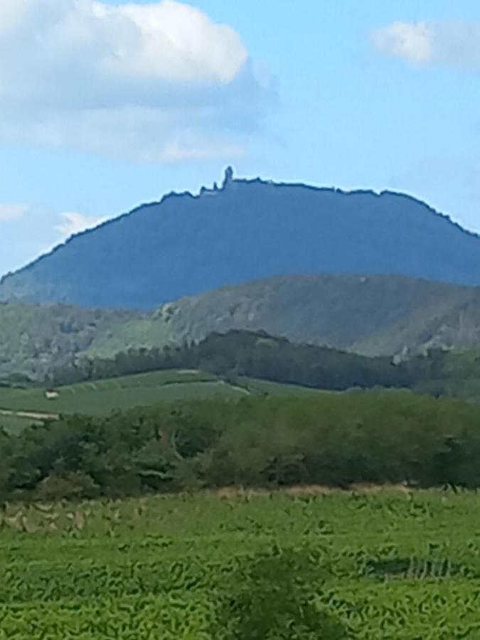 Vila Gite Au Nid De Cigognes Dieffenthal Exteriér fotografie
