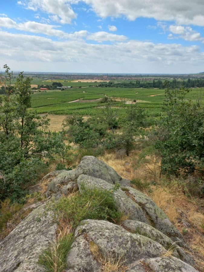 Vila Gite Au Nid De Cigognes Dieffenthal Exteriér fotografie