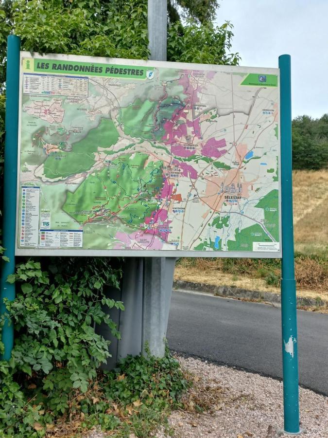 Vila Gite Au Nid De Cigognes Dieffenthal Exteriér fotografie