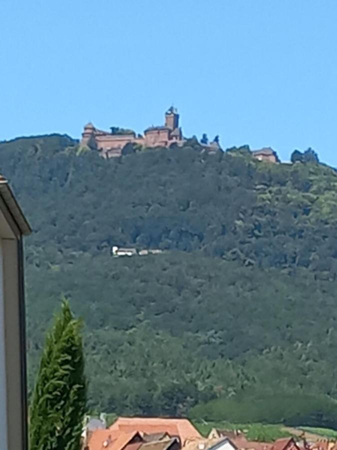 Vila Gite Au Nid De Cigognes Dieffenthal Exteriér fotografie