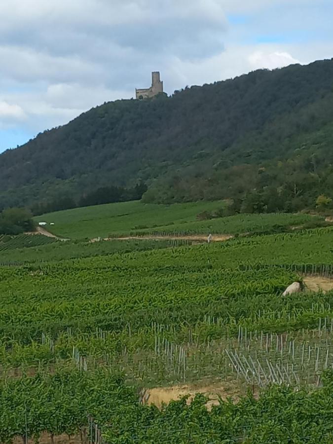 Vila Gite Au Nid De Cigognes Dieffenthal Exteriér fotografie