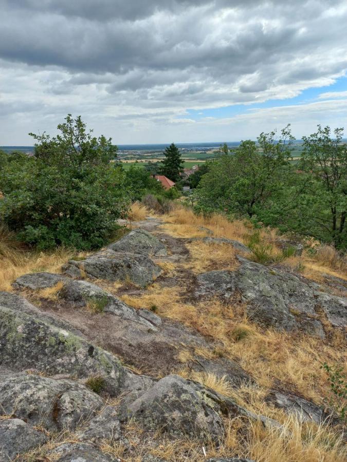 Vila Gite Au Nid De Cigognes Dieffenthal Exteriér fotografie