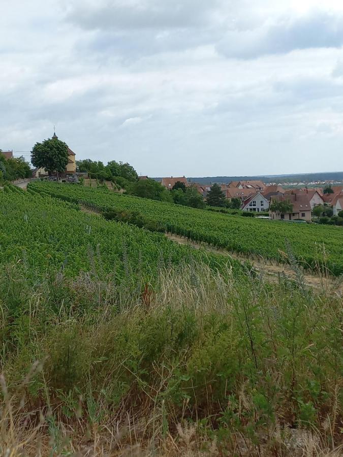 Vila Gite Au Nid De Cigognes Dieffenthal Exteriér fotografie