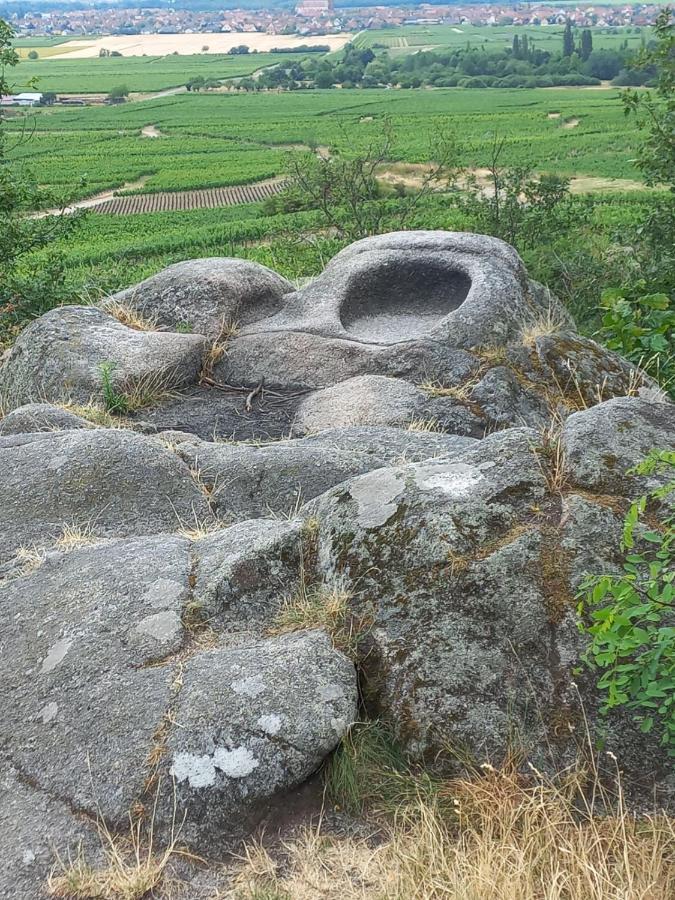 Vila Gite Au Nid De Cigognes Dieffenthal Exteriér fotografie