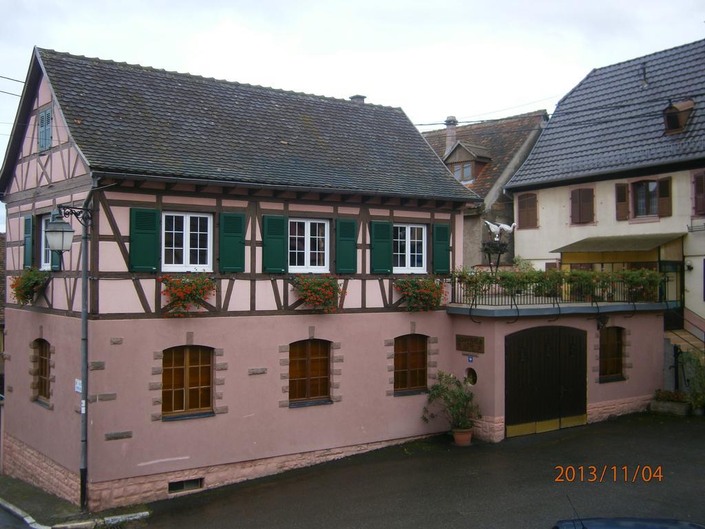 Vila Gite Au Nid De Cigognes Dieffenthal Exteriér fotografie